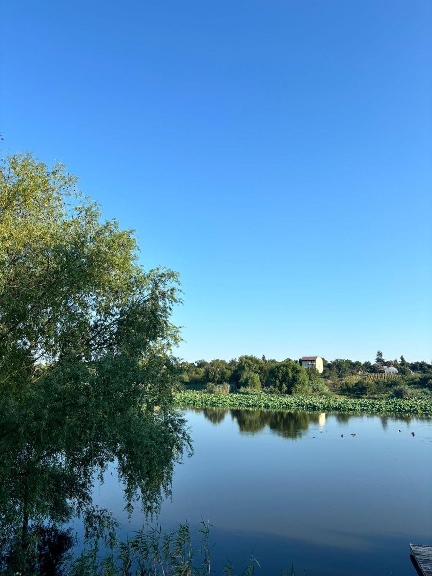 Hotel La Nuferi Lac To Therme & Aeroport Otopeni Snagov Zewnętrze zdjęcie